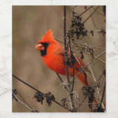 Mooie noordelijke kardinaal wijn etiket (Enkel label)