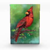 Mooie noordelijke rode kardinale vogelschilderkuns fotoblokken (Voorkant)