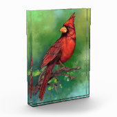 Mooie noordelijke rode kardinale vogelschilderkuns fotoblokken (Links)