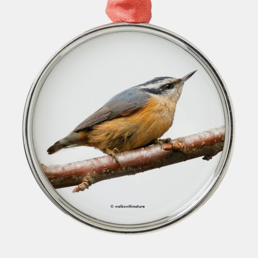 Mooie Nuthatch Songbird op Branch Metalen Ornament (Voorkant)
