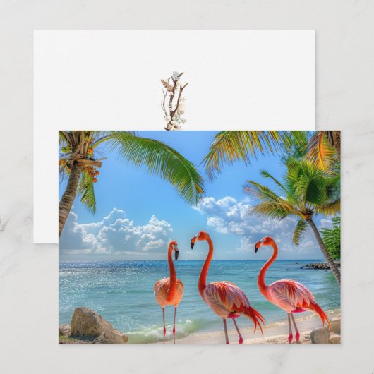 Mooie Oceaan Roze Flamingo's Palmbomen Zand Briefkaart (Voorkant / Achterkant)