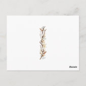 Mooie Oceaan Roze Flamingo's Palmbomen Zand Briefkaart (Achterkant)