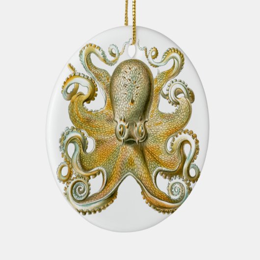 Mooie octopus afbeelding van Haeckel Keramisch Ornament (Rechts)