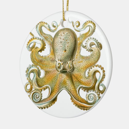 Mooie octopus afbeelding van Haeckel Keramisch Ornament (Links)