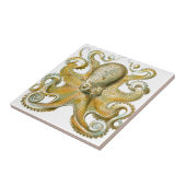 Mooie octopus afbeelding van Haeckel Tegeltje (Zijkant)