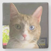 Mooie ogen kat stenen onderzetter (Voorkant)