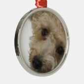 Mooie ogen van een Yorkie Poo Puppy Metalen Ornament (Rechts)