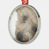 Mooie ogen van een Yorkie Poo Puppy Metalen Ornament (Links)