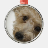 Mooie ogen van een Yorkie Poo Puppy Metalen Ornament (Voorkant)