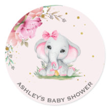 Mooie Olifant Roze Bloemige Baby Shower