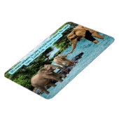 Mooie Olifant Schrift Magneet Luke 6:31 (Linkerzijde)