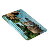 Mooie Olifant Schrift Magneet Luke 6:31 (Rechterzijde)