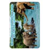 Mooie Olifant Schrift Magneet Luke 6:31 (Verticaal)