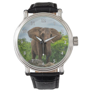 Mooie olifant spelen in het gras horloge