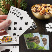 Mooie olifant spelen in het gras pokerkaarten (Insitu)