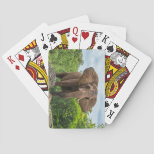 Mooie olifant spelen in het gras pokerkaarten