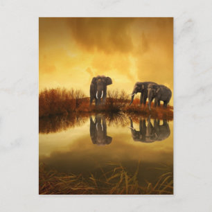 mooie olifant Thailand zonsondergang Briefkaart