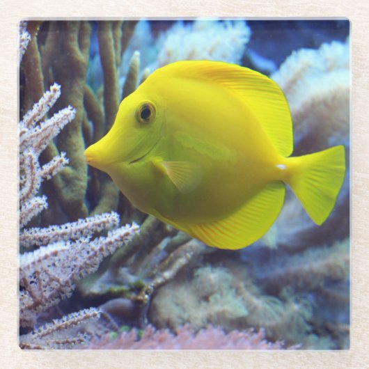 Mooie Onderwater Gele Tang Vis en Koraal Glazen Onderzetter (Voorkant)