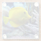 Mooie Onderwater Gele Tang Vis en Koraal Glazen Onderzetter (Achterkant)