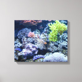 mooie onderwaterscène in de oceaan, kleurrijk zee canvas afdruk