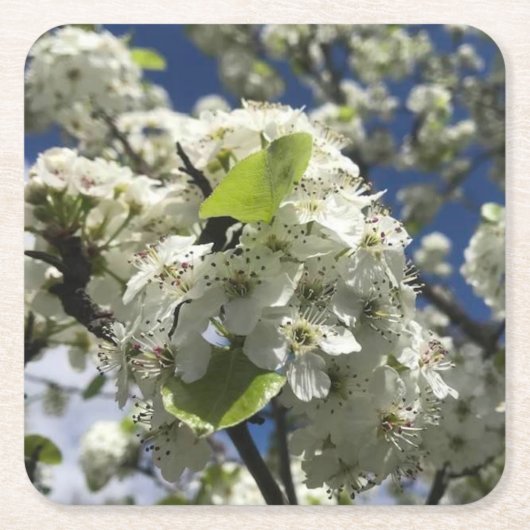 Mooie Onderzetter met bloemen (Voorkant)