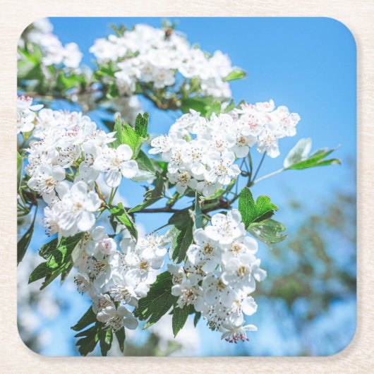 Mooie Onderzetter met witte bloemen (Voorkant)