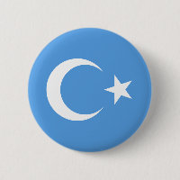 Mooie Oost-Turkestan Xinjiang vlag