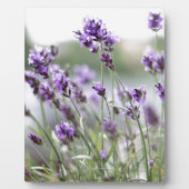 Mooie op maat gemaakte lentebloemen - lavendel fotoplaat (Voorkant)