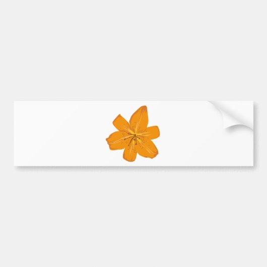 Mooie oranje bloem bumpersticker (Voorkant)