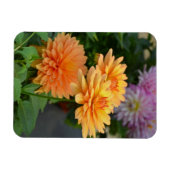 Mooie oranje dahlia bloemenkoelkastmagneet magneet (Horizontaal)