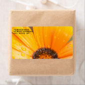 Mooie Oranje Daisy Half Close-Up Foto Etiket (Insitu)