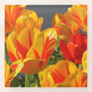 Mooie Oranje en gele Tulpen Glazen Onderzetter