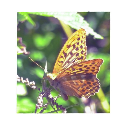 Mooie Oranje en zwarte vlinder Notitieblok (Voorkant)