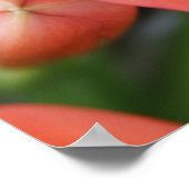 Mooie Oranje foto van de ventilator Poster (Hoek)