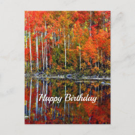 Mooie Oranje Herfstbomen Reflectie Verjaardag Briefkaart