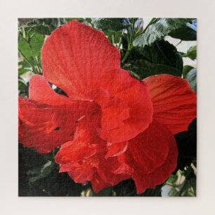 Mooie oranje hibiscus bloem foto legpuzzel