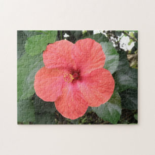 Mooie Oranje Hibiscus Bloem Puzzel