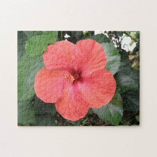 Mooie Oranje Hibiscus Bloem Puzzel (Horizontaal)