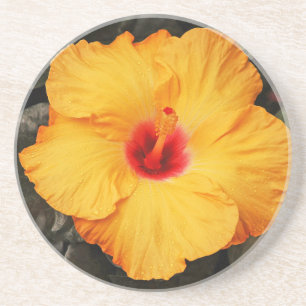 Mooie oranje hibiscus-bloem zandsteen onderzetter