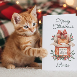 Mooie Oranje Kat Niet Openen Tot Kerstkaart Feestdagen Kaart