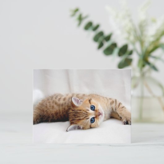 Mooie oranje keuken met blauwe ogen briefkaart (Staand voorkant)