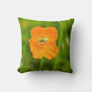Mooie Oranje Klaproos Bloem Zomer Foto Groen Kussen