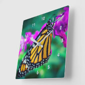 Mooie oranje monboogvlinder, foto van close-up vierkante klok (Hoek)