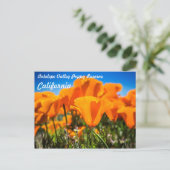 Mooie Oranje papaverbloemen in een veld Briefkaart (Staand voorkant)