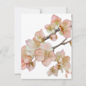 Mooie oranje roze bloemen SAVE THE DATE BRUILOFT (Achterkant)