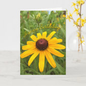 Mooie Oranje Rudbeckia Bloem Sjabloon (Gele Bloem)