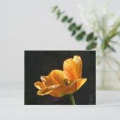 Mooie Oranje Tulp Close-up DIY Briefkaart (Staand voorkant)