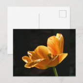 Mooie Oranje Tulp Close-up DIY Briefkaart (Voorkant / Achterkant)