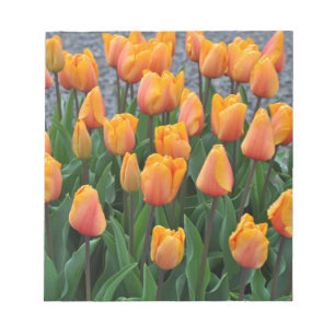 Mooie oranje tulpen notitieblok