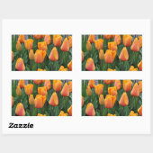 Mooie oranje tulpen rechthoekige sticker (Vel)